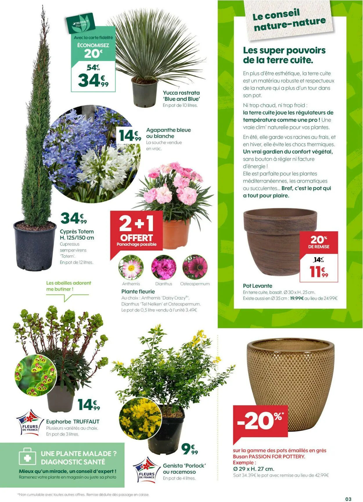 Truffaut du 15 mars au 29 mars 2025 - Catalogue page 3