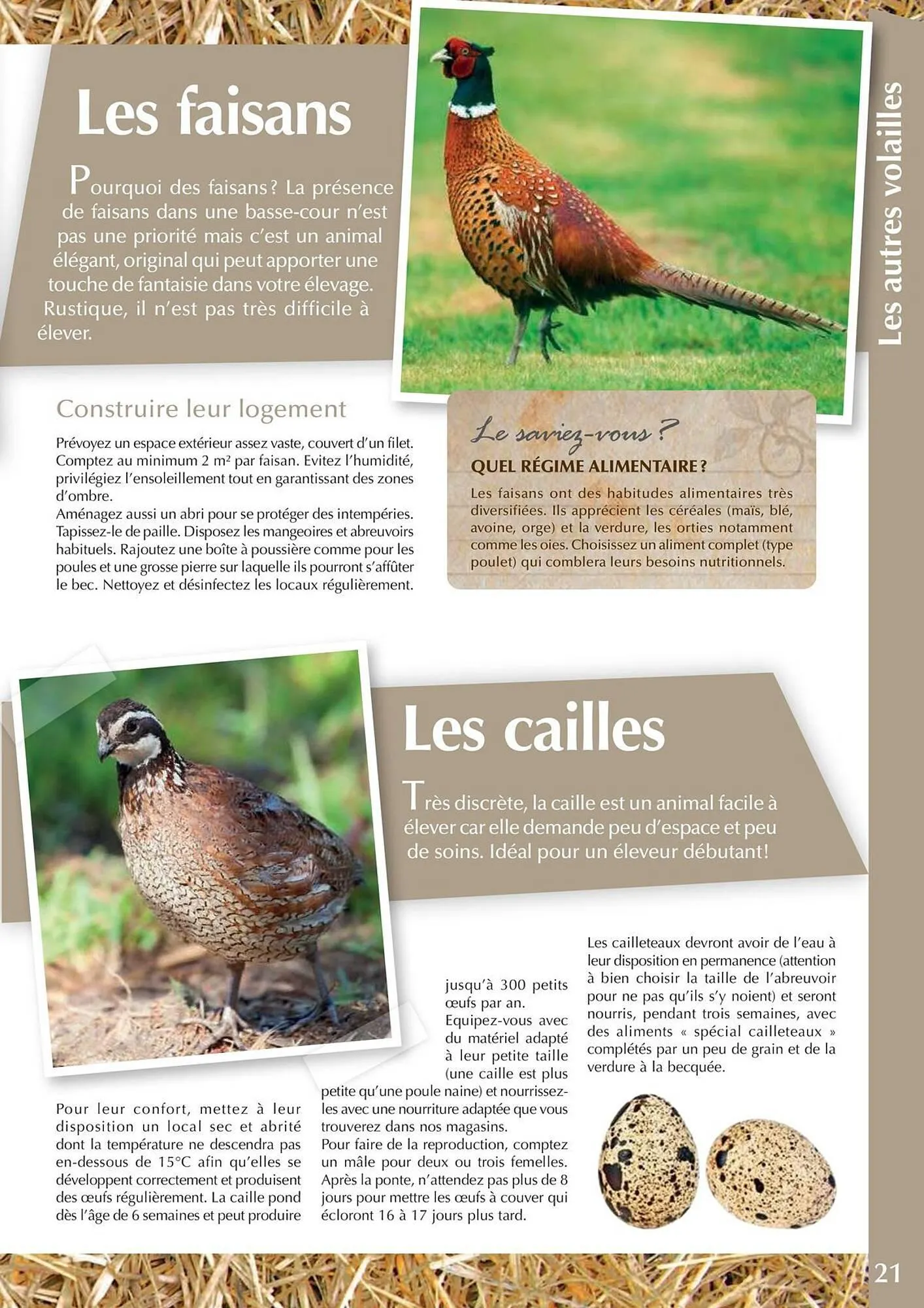 Catalogue Point Vert du 30 avril au 31 décembre 2025 - Catalogue page 21