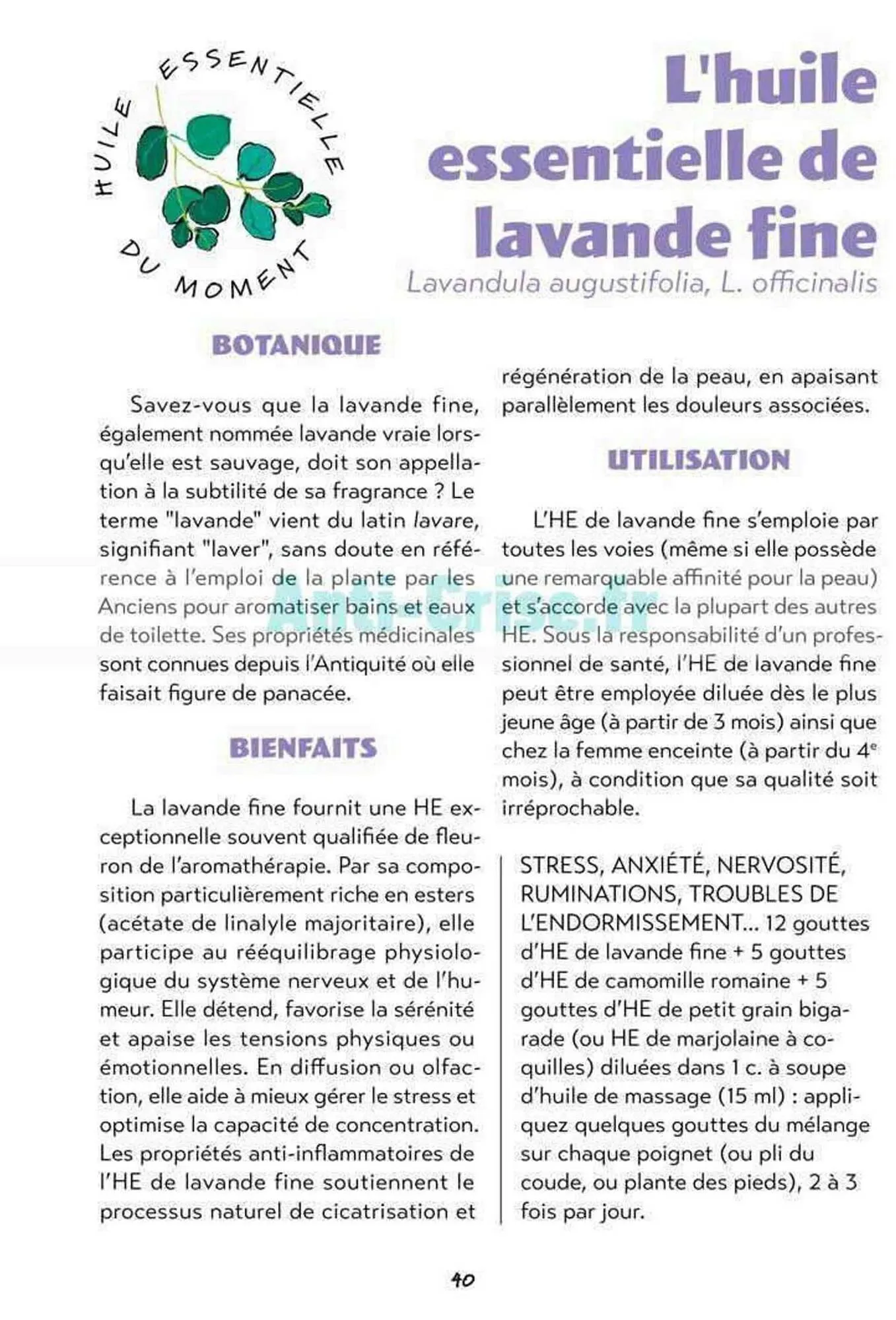 Catalogue Satoriz du 7 mai au 30 juin 2026 - Catalogue page 40