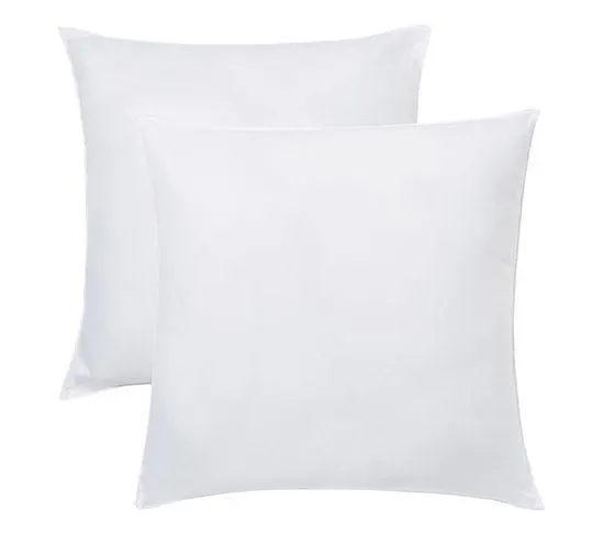 DREAMEA Lot de 2 oreillers 60x60 cm NEWCONFORT