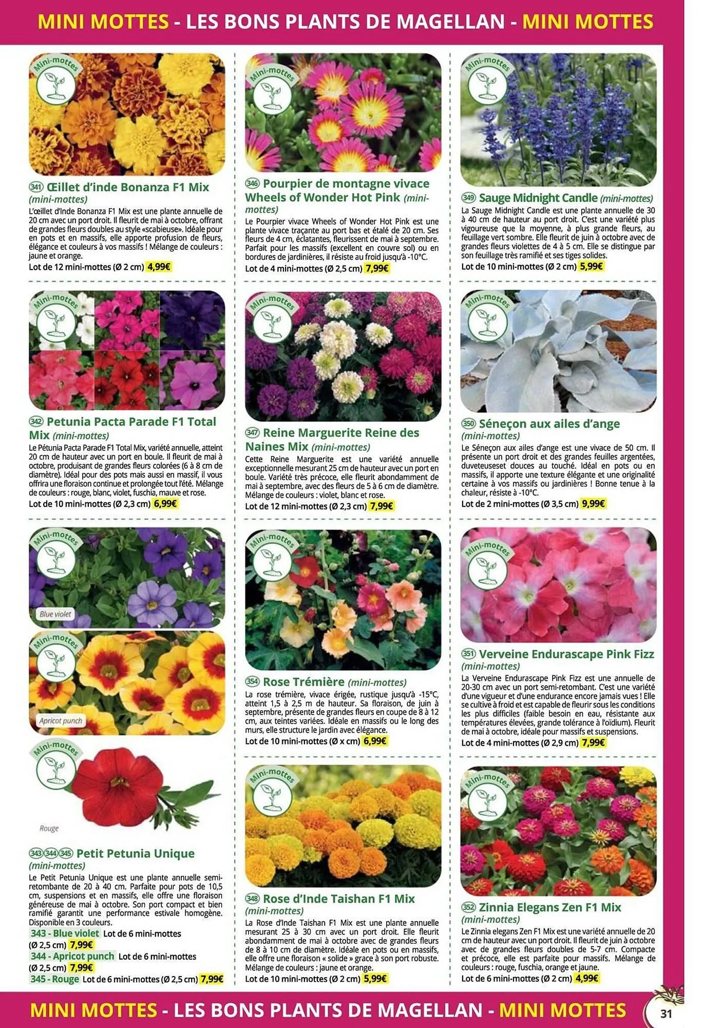 Catalogue Magellan du 16 décembre au 31 décembre 2025 - Catalogue page 31