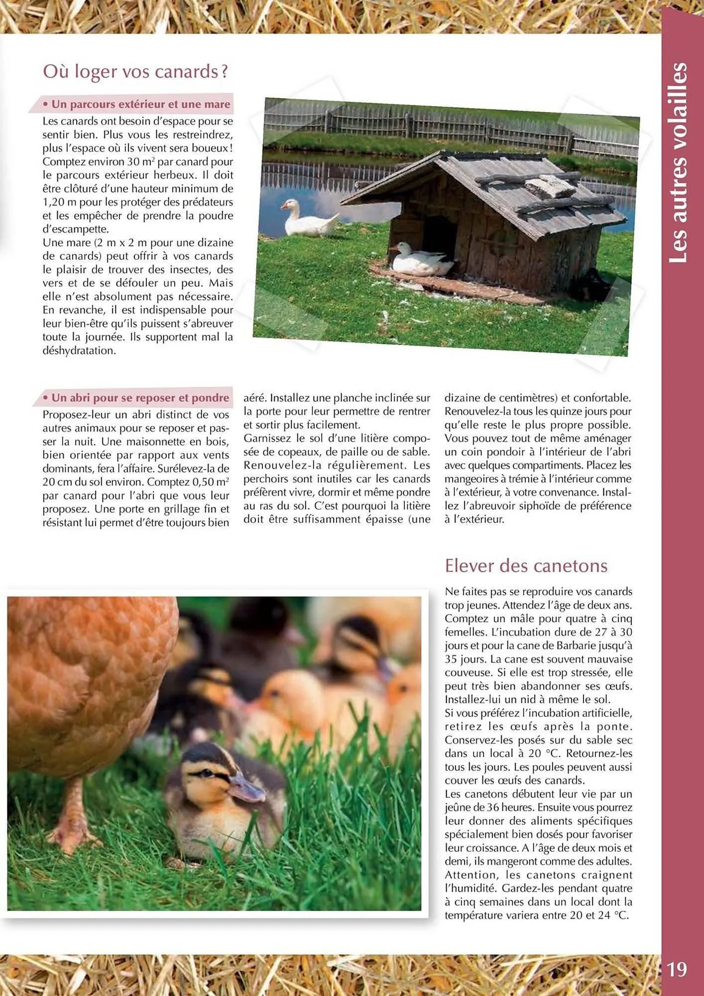 Catalogue Point Vert du 30 avril au 31 décembre 2025 - Catalogue page 19