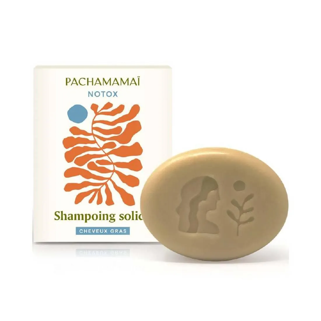 Shampoing Solide Pour Cheveux Gras