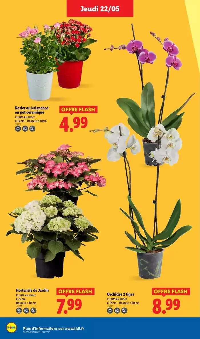 Faites votre plein de courses chez Lidl et profitez de nombreux produits à prix réduits ! du 22 mai au 28 mai 2025 - Catalogue page 32