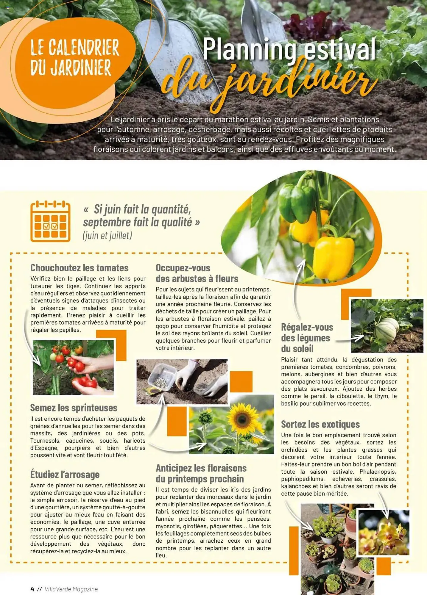 Catalogue VillaVerde du 25 juin au 22 juillet 2025 - Catalogue page 4