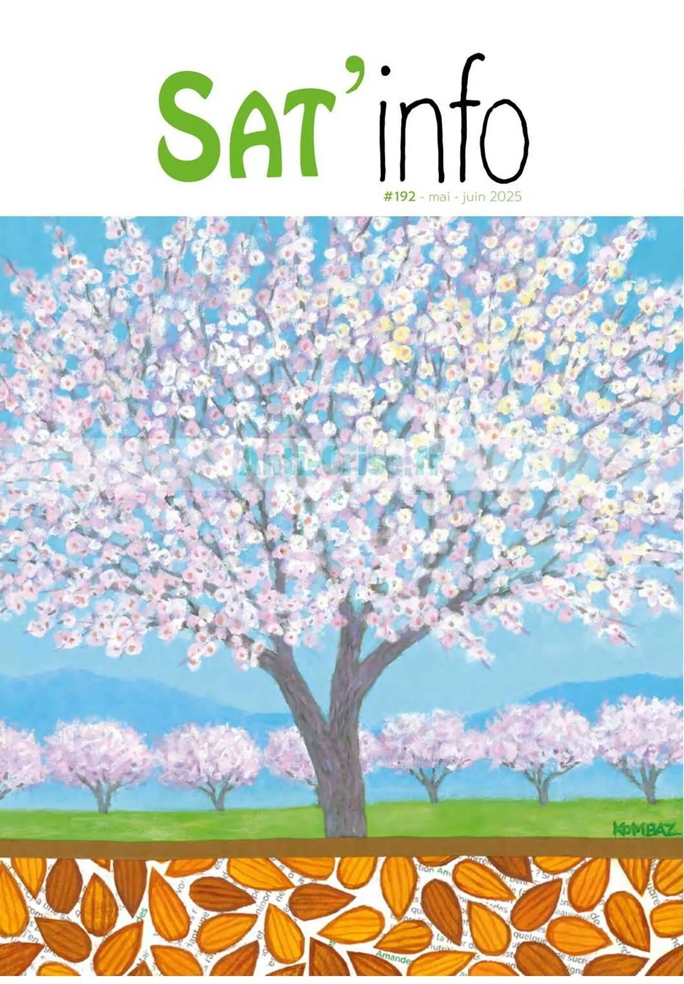 Catalogue Satoriz - 1