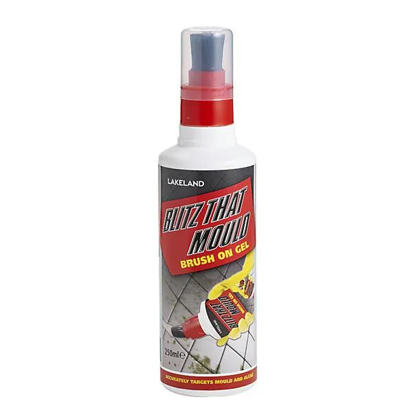 Blitz That Mould Brush-On Mould Remover Gel 250ml