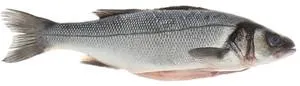 Branzino Eviscerato