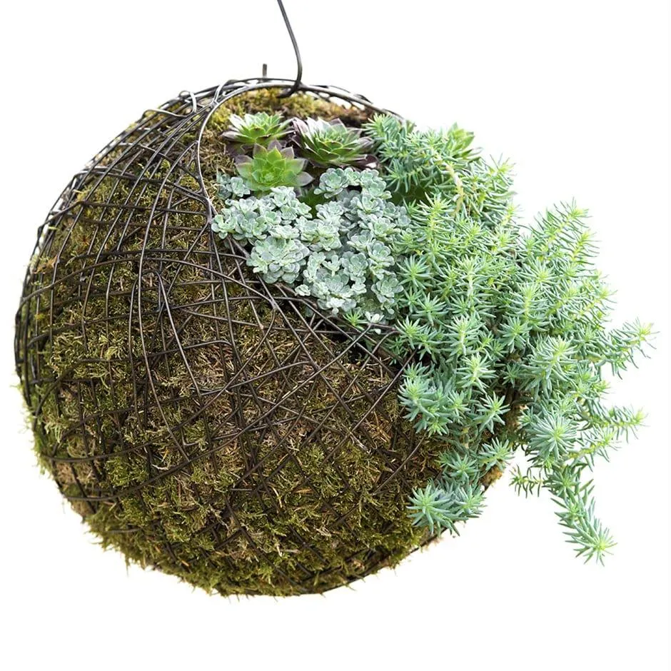 Hanging crazy wire ball