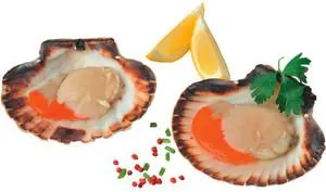 Cappasante Atlantiche 1/2 Guscio Decongelate