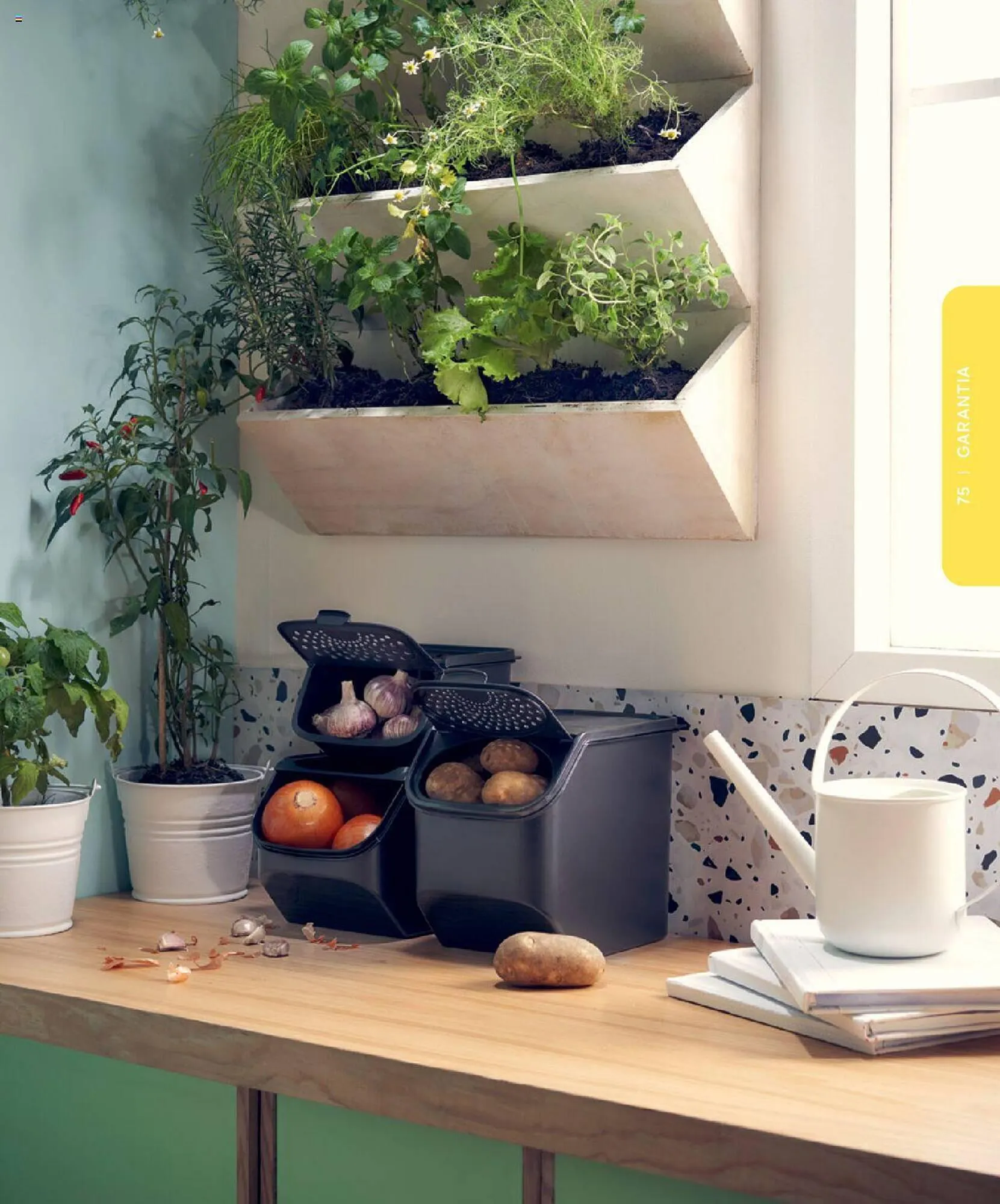 Folheto Folheto Tupperware de 7 de março até 31 de agosto 2023 - Pagina 75