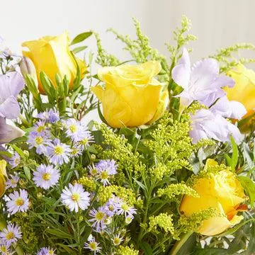 Letterbox Spring Breeze