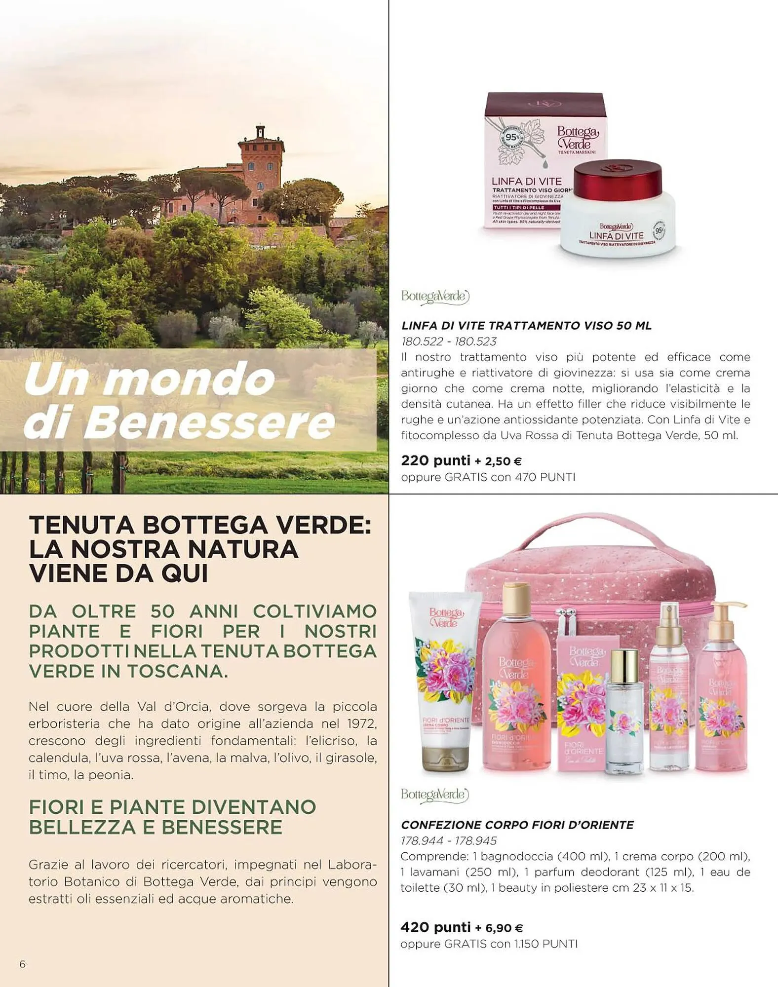 Volantino Bottega Verde da 4 aprile a 31 marzo di 2024 - Pagina del volantino 6