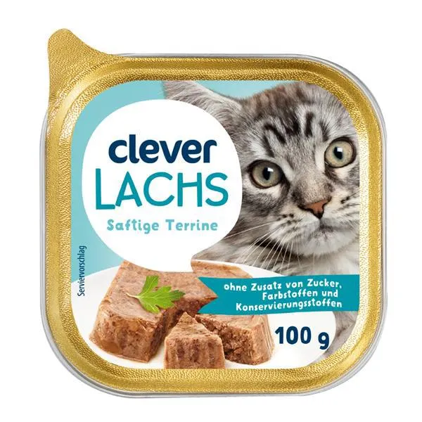 Clever Katze Lachs
