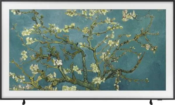 QE43LS03B Frame (2023)