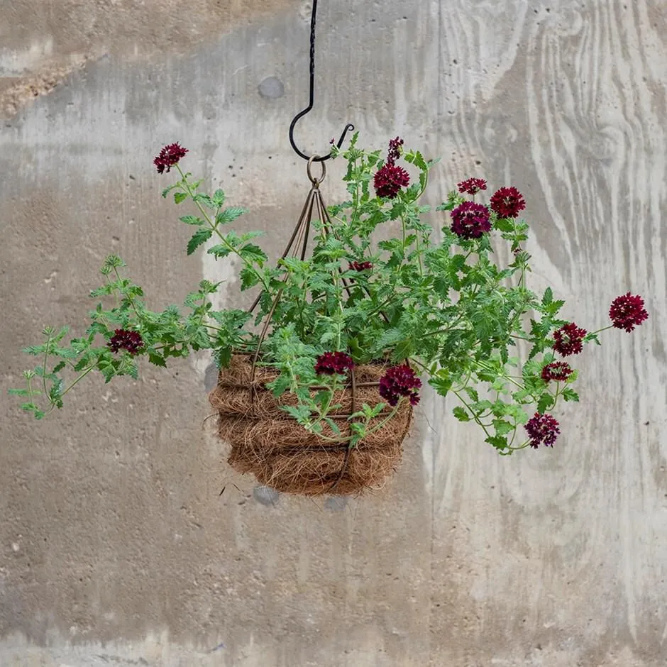 Hanging tear drop basket - wide