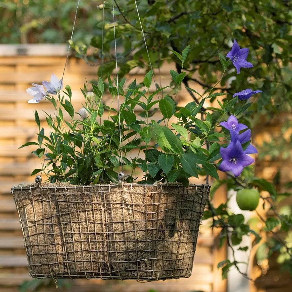 Rectangular net hanging basket
