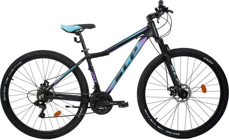 BIC MTB 10 R29 LADY NG CE LI 1 -