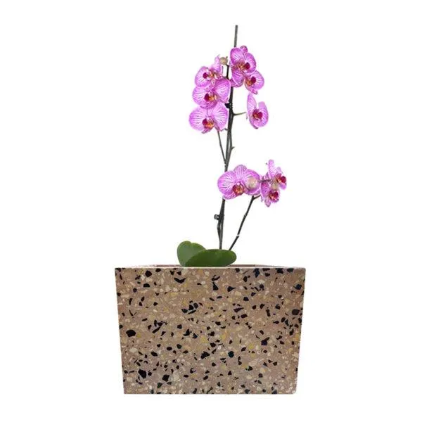 Macetero de Terrazo Pink Retro #23