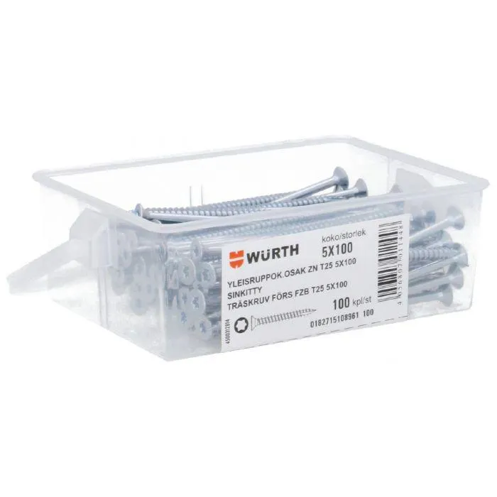 Yleisruuvi Sinkitty 5X100mm T25 100kpl