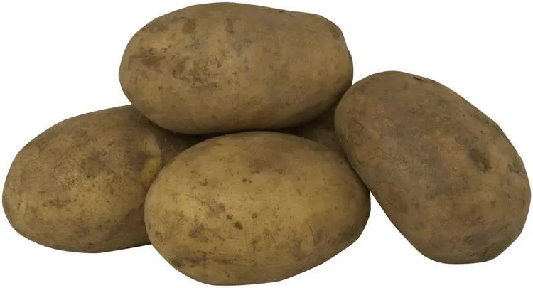 Yleisperuna harjattu