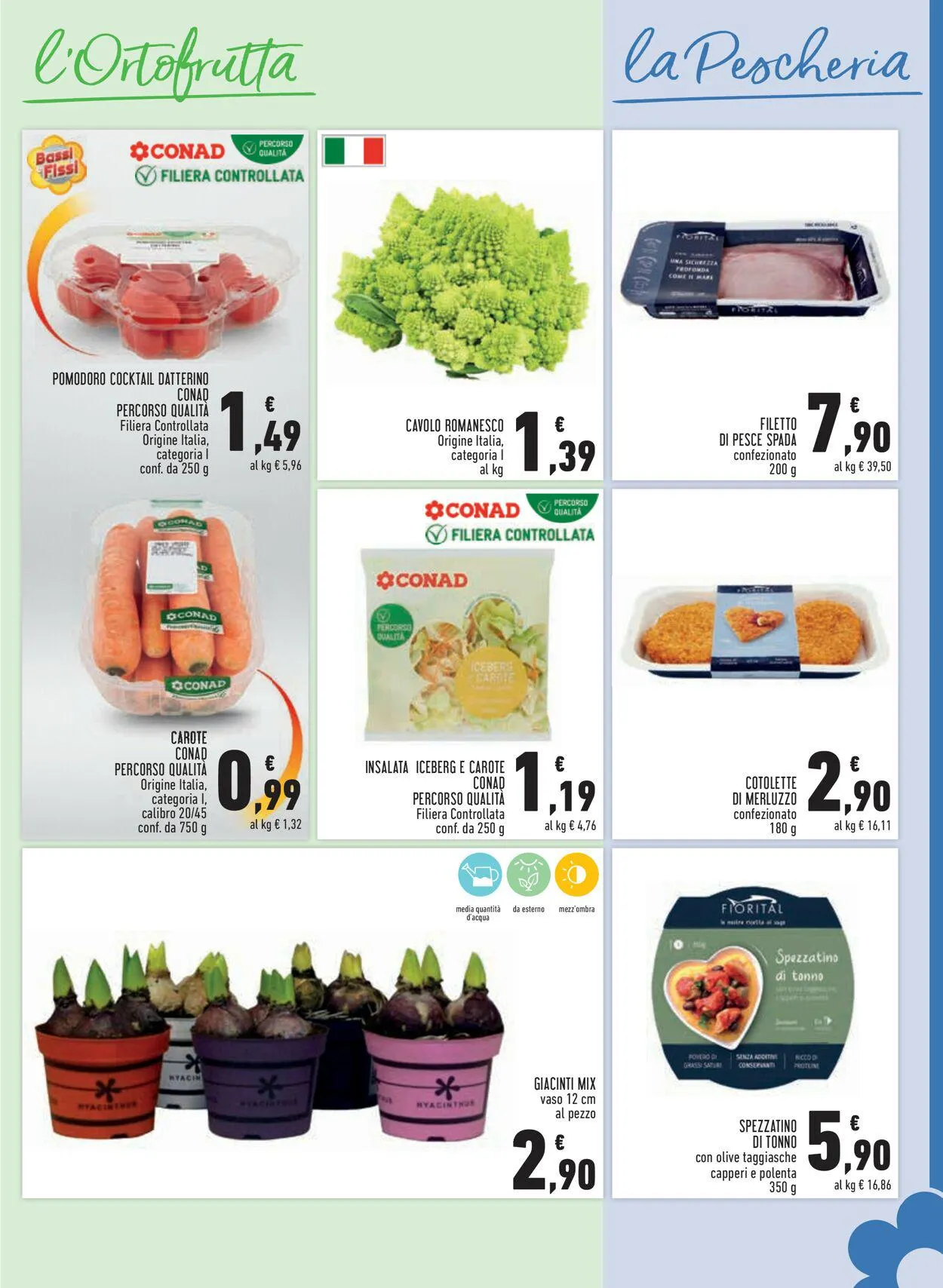 Conad Volantino attuale da 4 gennaio a 1 febbraio di 2024 - Pagina del volantino 3