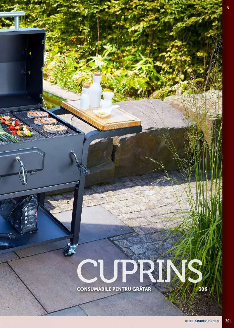 Catalog Cataloage Metro - 21.01.2022 - 31.12.2023. de la 21 ianuarie până la 31 decembrie 2023 - Revista Pagina 301