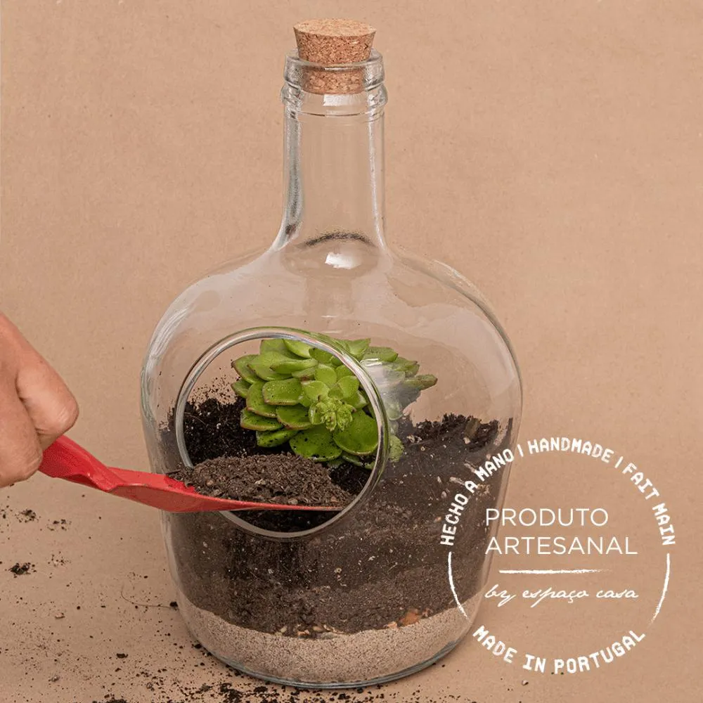 Terrário Garrafa com Tampa Cortiça