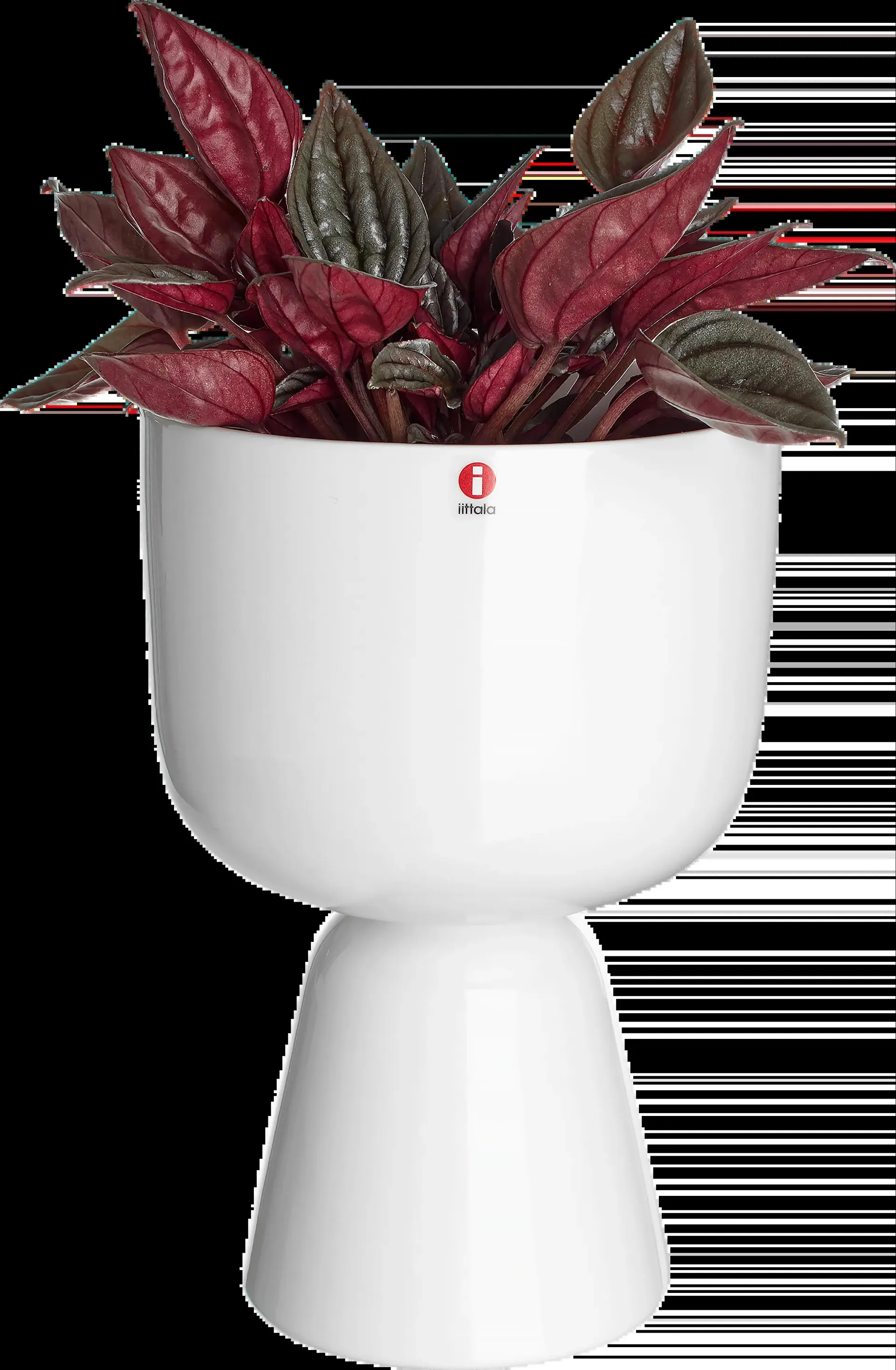 Iittala Nappula ruukku 230x155 mm valkoinen