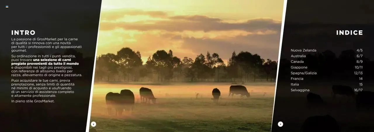 Sogegross - Catalogo Carni Pregiate da 1 gennaio a 31 dicembre di 2023 - Pagina del volantino 2