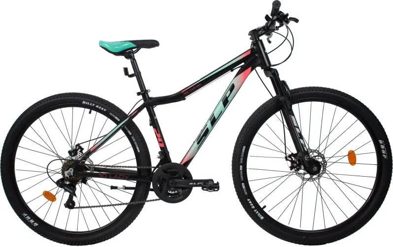 BIC MTB 10 R29 LADY NG VE NA 1 -