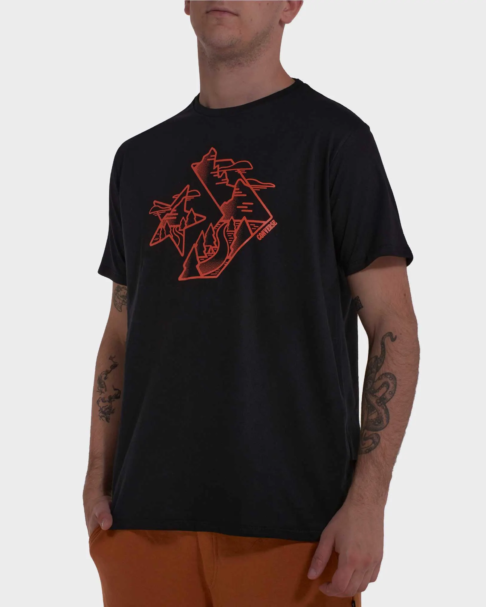 Remera Nice Chevron Mountain