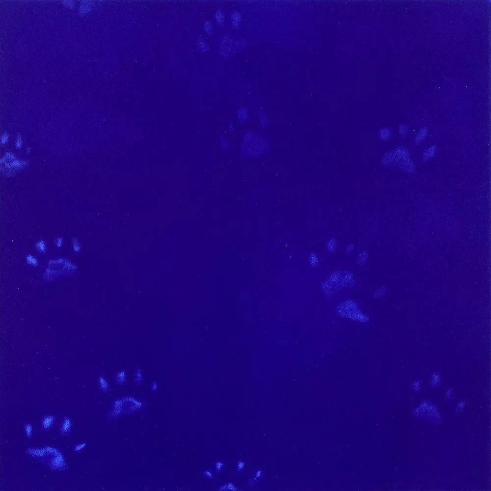 Yves Klein's Cats