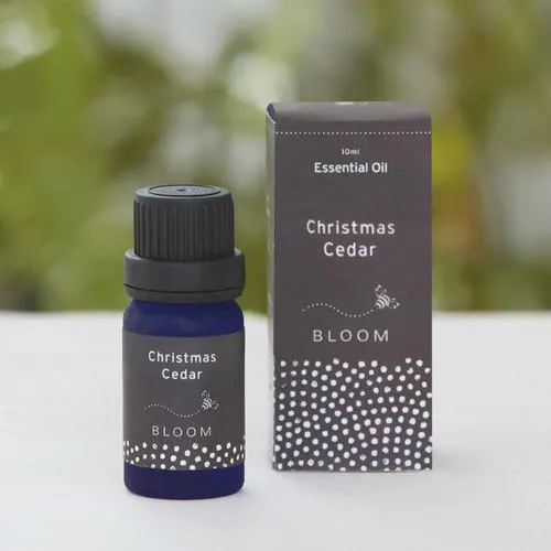 Christmas Cedar Essential Oil