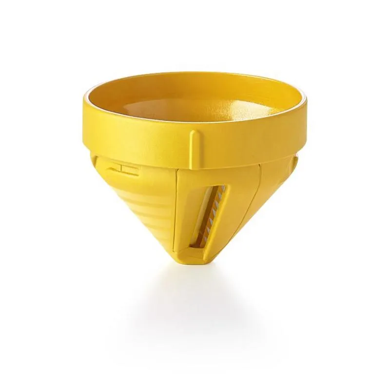 Tagliatelle di verdura