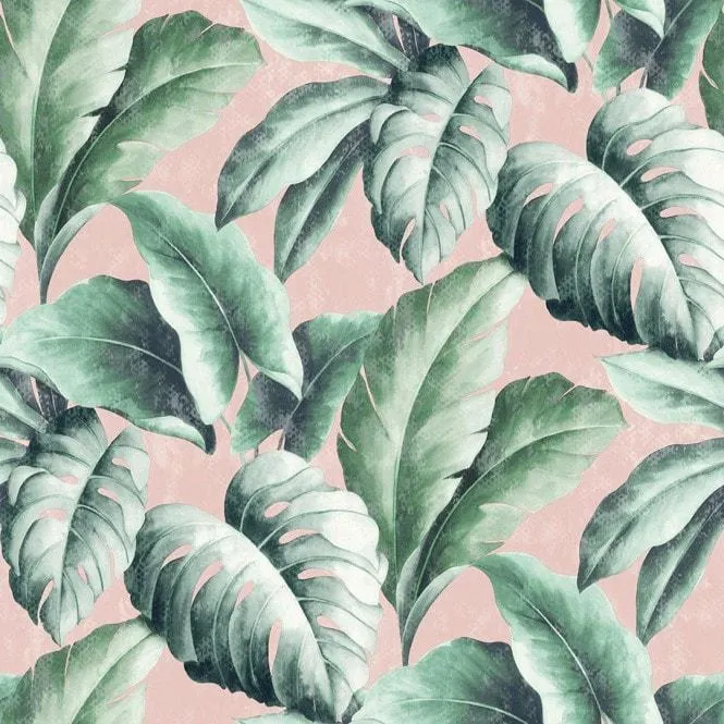 Tropicana Floral Leaf wallpaper in pink