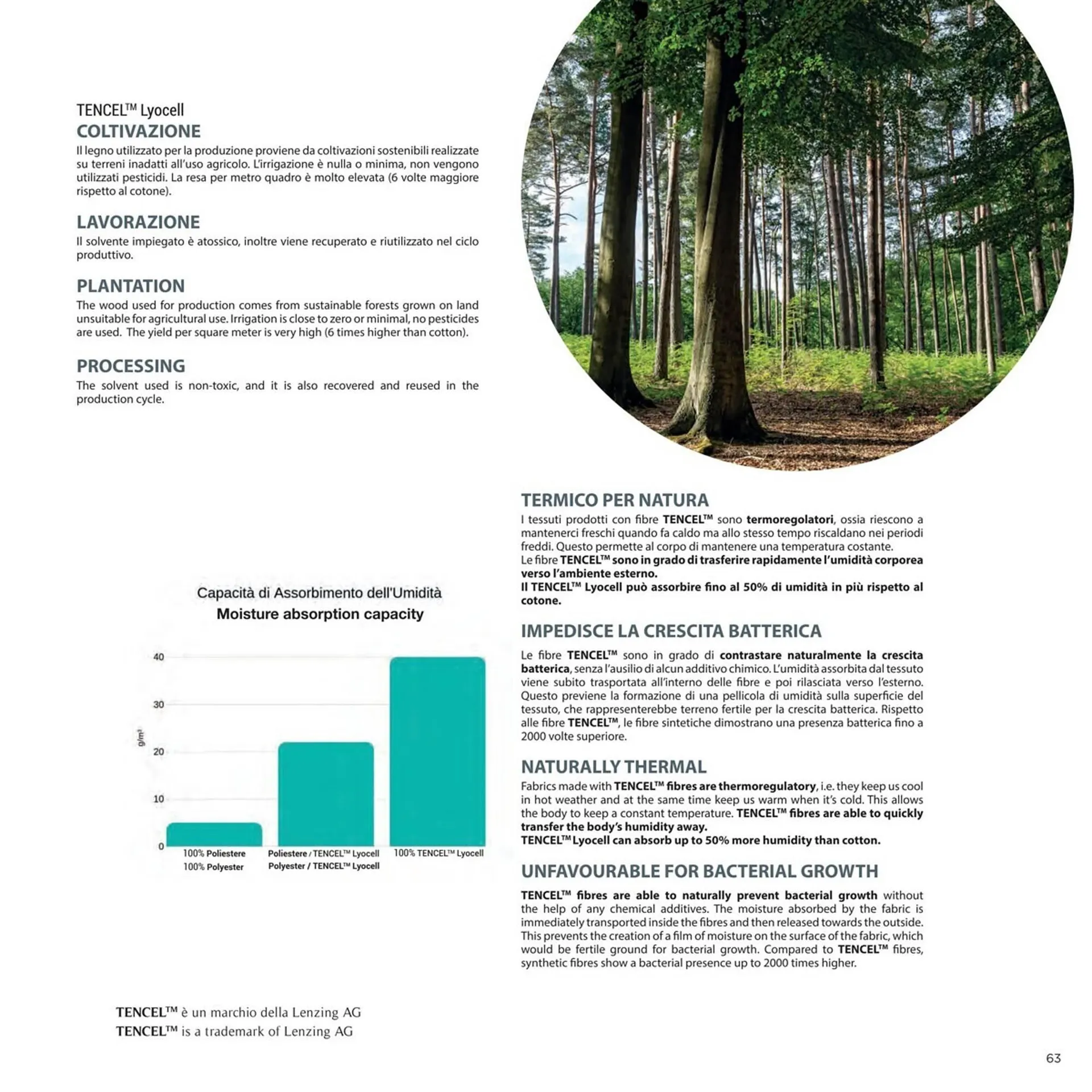Volantino Foppapedretti da 18 aprile a 31 dicembre di 2023 - Pagina del volantino 63
