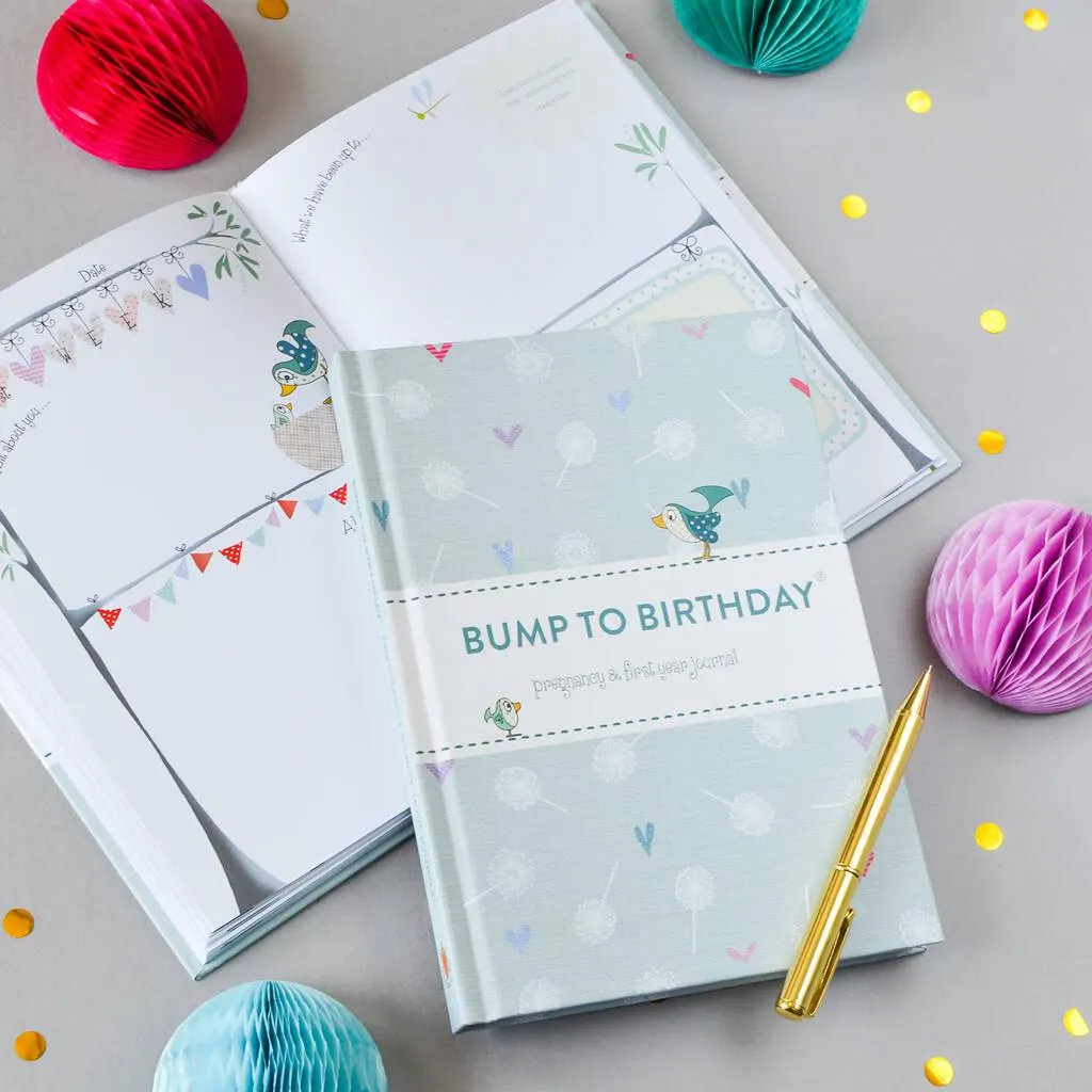 Bump To Birthday, A Pregnancy And First Year Journal
