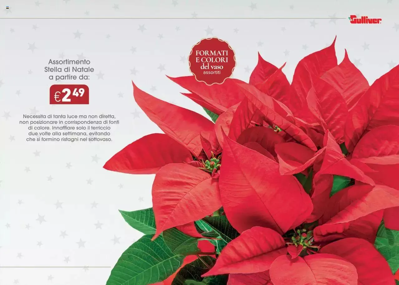 Gulliver - Catalogo di Natale 2022 da 1 gennaio a 31 dicembre di 2023 - Pagina del volantino 35