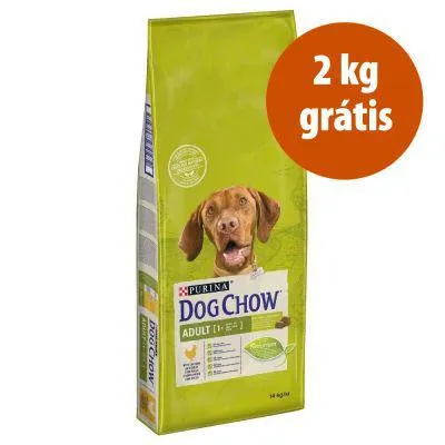 Purina Dog Chow 14 kg em promoção: 12 kg + 2 kg grátis!
