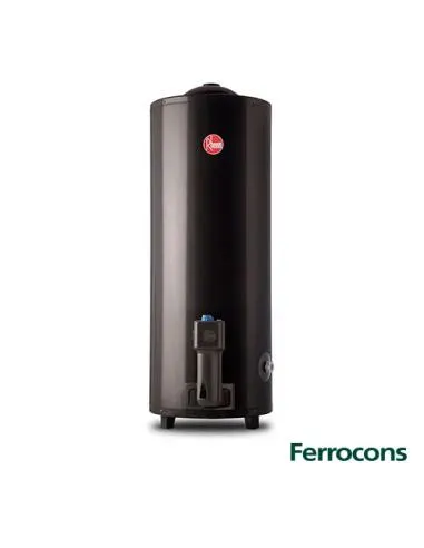 TERMOTANQUE RHEEM AEE DE PIE 80L GN