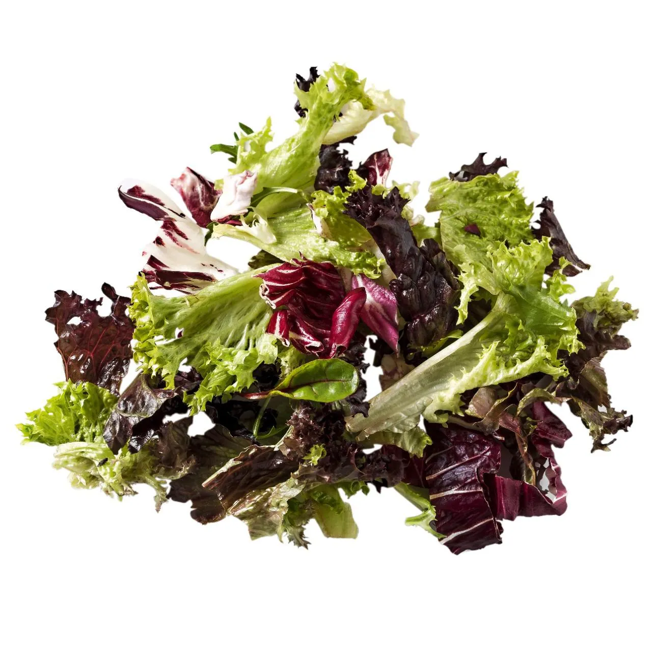 Frisée slamelange