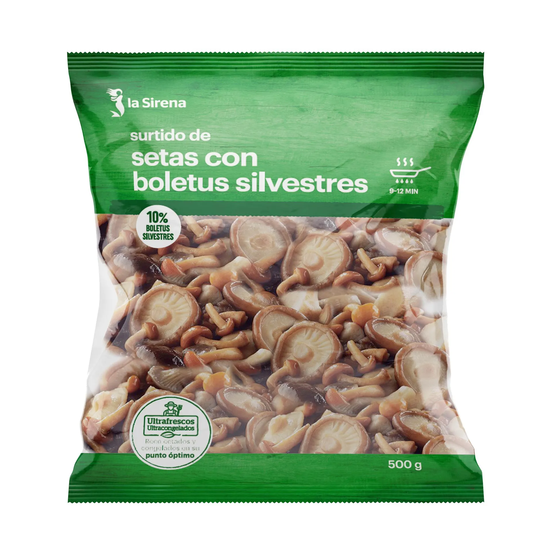 Surtido de setas con boletus silvestres