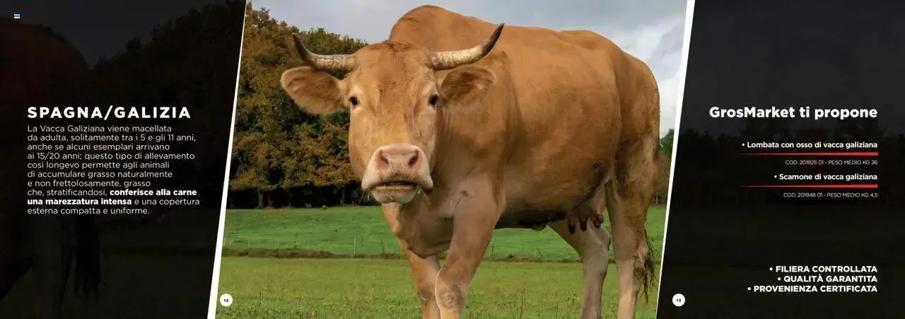 Sogegross - Catalogo Carni Pregiate da 1 gennaio a 31 dicembre di 2023 - Pagina del volantino 7