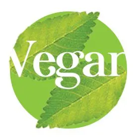 BIO Vegan Protein - Purasana