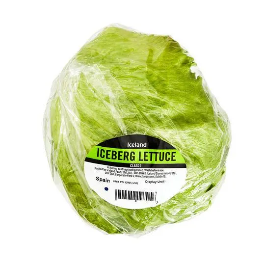 Iceland Iceberg Lettuce