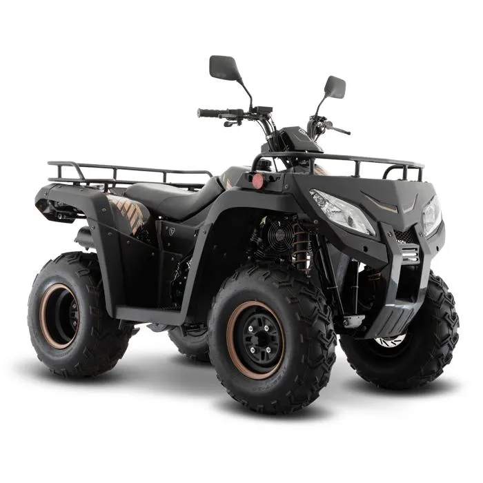 Cuatrimoto ATV250