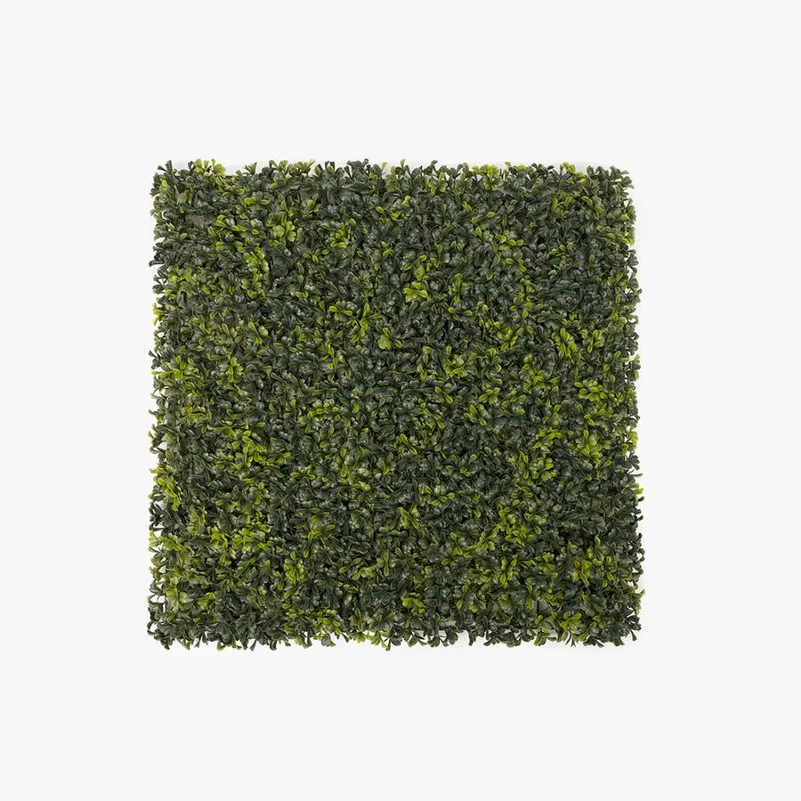 Jardim vertical Bahai 50x50 cm