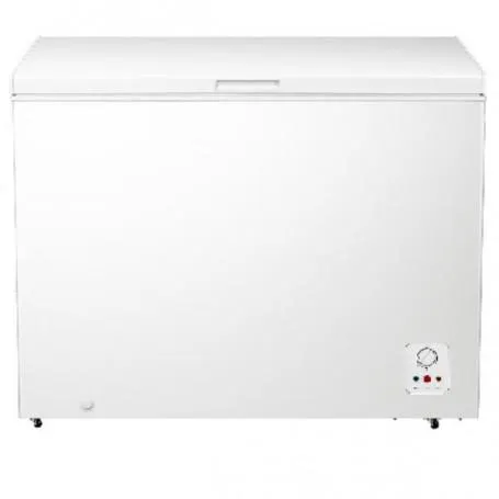 HISENSE FC386D4AF - CONGELATORE A POZZO 297 LT