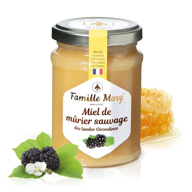 Miel de mûrier sauvage des landes Girondines
